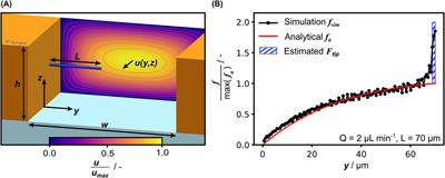 Highly parallel bending tests for fungal hyphae enabled by two-photon polymerization of microfluidic mold